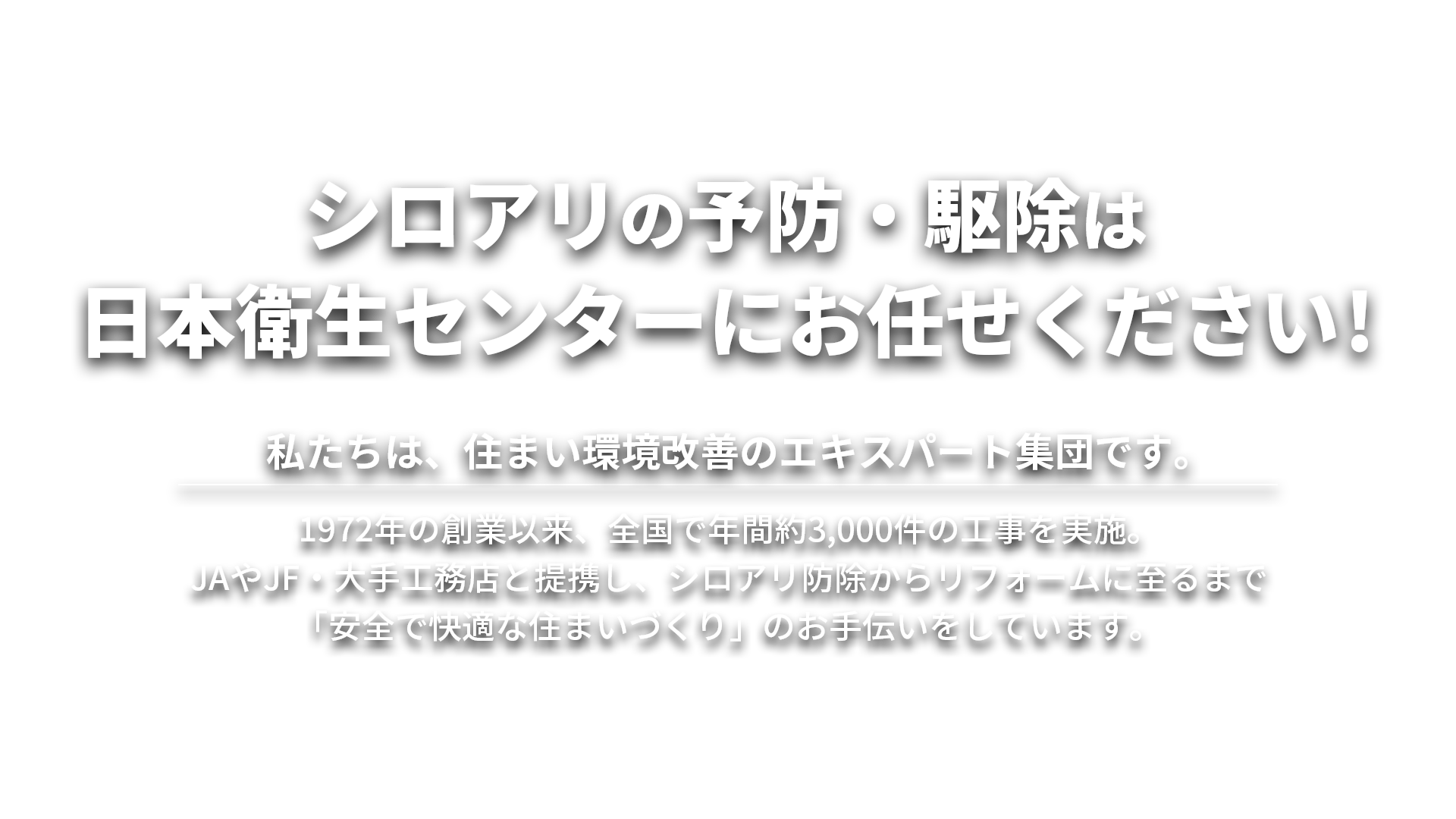 シロアリの予防・駆除は日本衛生センターにお任せください！