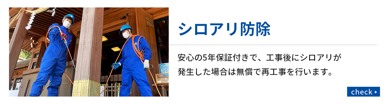 シロアリ防除