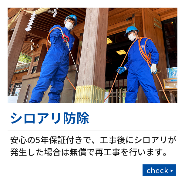 シロアリ防除